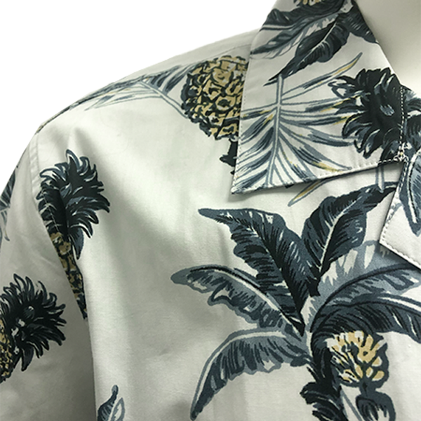 Camisa hawaiana (3)